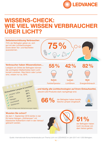 Die detaillierten Studienergebnisse aus Deutschland als Infografik