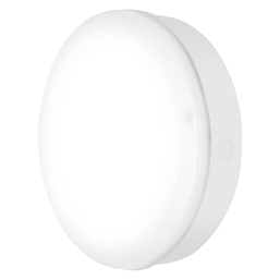 LEDVANCE Floodlight